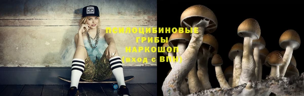 кокс Алексеевка