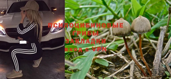кокс Алексеевка