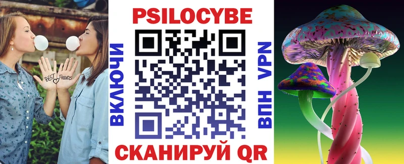 Галлюциногенные грибы Psilocybe  Дзержинский 
