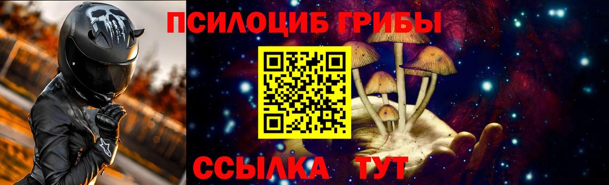 Галлюциногенные грибы прущие грибы Дзержинский
